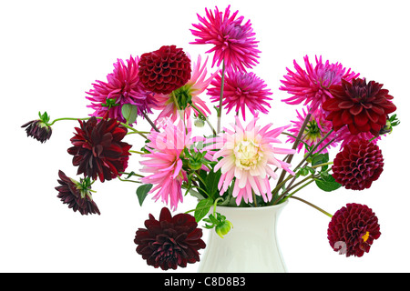 Blumen-Arrangement von dunkel rot und rosa Chrysanthemen und Dahlien in der vase Stockfoto