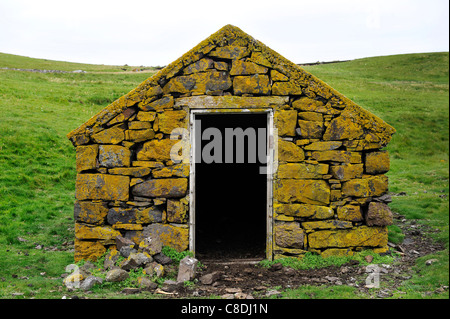 Blick auf einen Stein Schuppen für Lämmer und Schafe ins Tierheim in verwendet. Am Eshaness auf den Shetland-Inseln, Schottland. Stockfoto