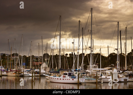 Boote im Hafen von Whangarei. Whangarei, Northland, Neuseeland. Stockfoto