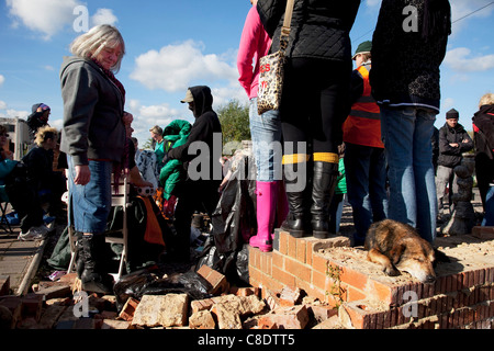 Dale Farm Website vor der Räumung, ein Roma-Zigeuner und irischer Reisender Standort Marmorkrebs Hill, Essex, Großbritannien Stockfoto