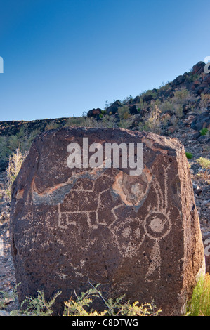 Petroglyphen in Boca Negra Canyon, Petroglyph National Monument, Albuquerque, New Mexico, USA Stockfoto