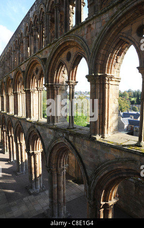 Detail im Inneren Jedburgh Abbey, Schottland. Stockfoto