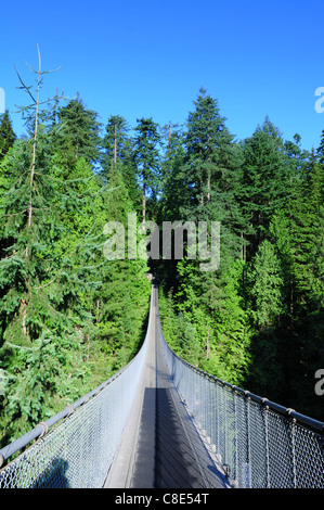 Capilano Suspension Bridge Vancouver, Kanada Stockfoto