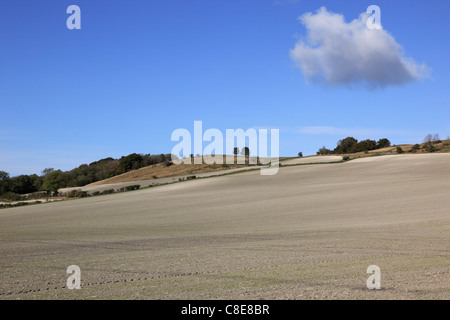 Roundway Hill, in der Nähe von Devizes, Wiltshire, England, Großbritannien Stockfoto