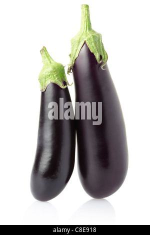 Aubergine oder Aubergine Stockfoto