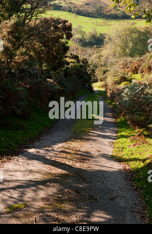 Eine vertikale Aufnahme des schmalen Feldweg hinunter das Tal inmitten der Heidelandschaft. Stockfoto