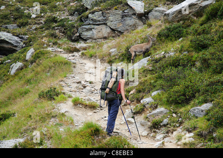 Eine junge Frau Walker auf einem Wanderweg in den französischen Alpen Stockfoto