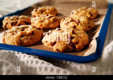 Chocolate Chip Cookies Stockfoto