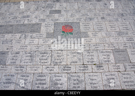 Player-Pflaster-Steinen, Twickenham Stadium, Twickenham, London Borough of Richmond upon Thames, London, England, Vereinigtes Königreich Stockfoto