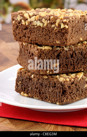 frische herrlich feucht Brownies mit einem tief fudgy Schokoladenaroma Stockfoto