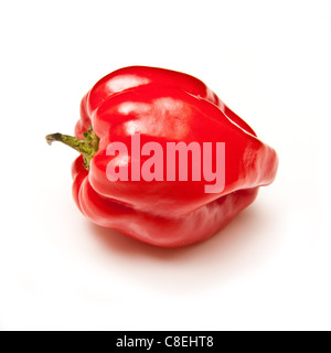 Scotch Bonnet Chilipfeffer oder karibischen Pfeffer isoliert auf einem weißen Studio-Hintergrund. Stockfoto