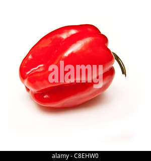 Scotch Bonnet Chilipfeffer oder karibischen Pfeffer isoliert auf einem weißen Studio-Hintergrund. Stockfoto