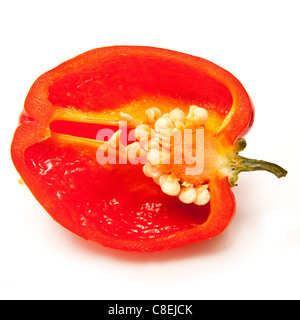 Scotch Bonnet Chilipfeffer oder karibischen Pfeffer isoliert auf einem weißen Studio-Hintergrund. Stockfoto