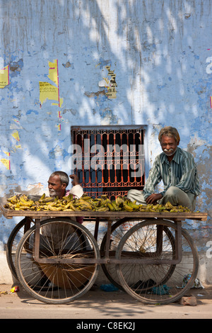 Banane-Verkäufer und Karren in Agra, Indien Stockfoto