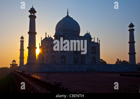 Der Taj Mahal Mausoleum westliche Blick (von Taj Mahal Moschee gesehen) in der Morgendämmerung, Uttar Pradesh, Indien Stockfoto