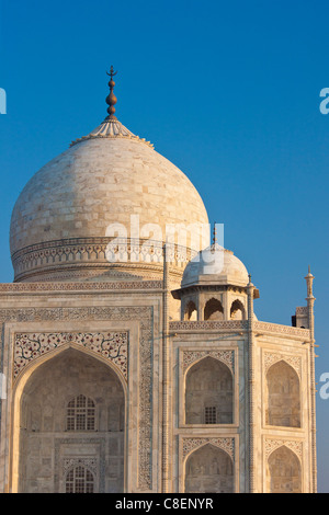 Iwans des Taj Mahal-Mausoleum, westlichen anzeigen Detail Diamant Facetten mit Bas Relief Marmor, Uttar Pradesh, Indien Stockfoto