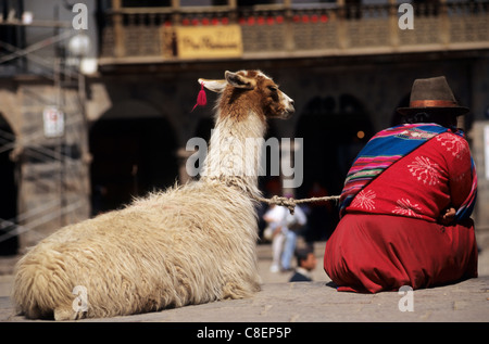 Cusco, Peru. Quechua indische Frau in traditioneller Kleidung mit ihrem Lama von der Rückseite in der Plaza de Armas. Stockfoto