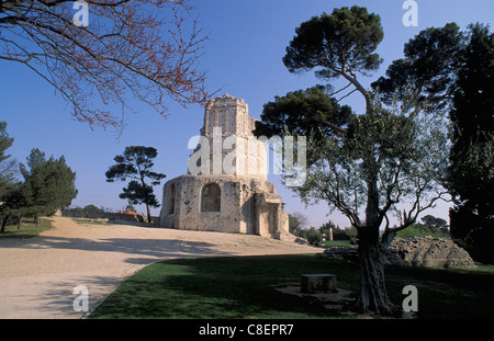 Tour Magne, Jardin De La Fontaines, Nimes, Provence, Frankreich, Europa, Turm Stockfoto