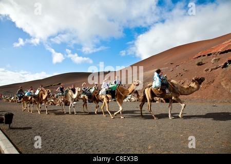 Touristen auf Kamelen im Timanfaya Nationalpark, Lanzarote Stockfoto