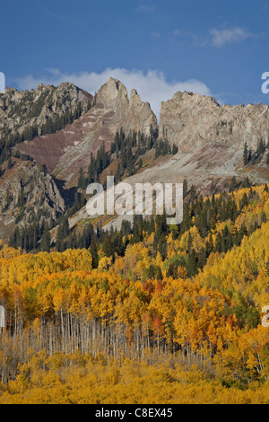 Der Deich mit den Herbstfarben, Grand Mesa Uncompahgre Gunnison National Forest, Colorado, Vereinigte Staaten von Amerika Stockfoto