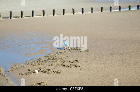 Mann auf der Suche nach Worms am Strand, Bridlington, Yorkshire, England Stockfoto