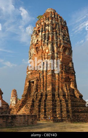 Wat Maha, UNESCO Welterbe, Website, Ayutthaya, Thailand, Asien, Turm Stockfoto