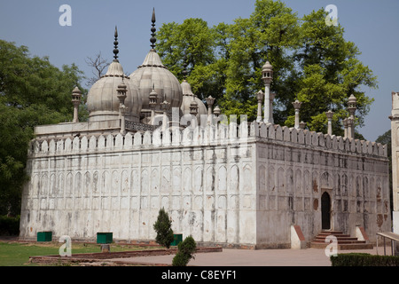 Moti Masjid Moschee, Red Fort, UNESCO-Weltkulturerbe, Alt-Delhi, Indien Stockfoto