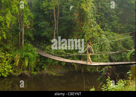 Hängebrücke, Primitive, Frau, Creek, Khao Yai Nationalpark, Welterbe, Website, Thailand, Asien, Fluss Stockfoto