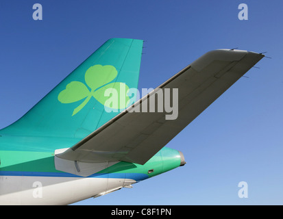 Flugzeug-Heck des irischen Fluggesellschaften Aer Lingus Stockfoto