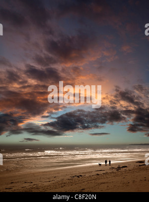 Paar walking Hund am Strand bei Sonnenuntergang Stockfoto