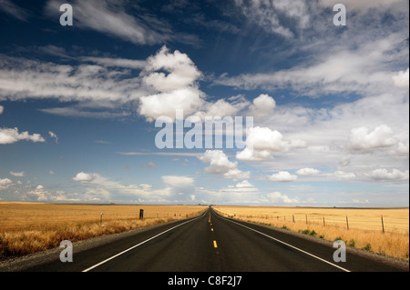 Einsame, lange Straße, gerade, Autobahn, Ost-Oregon, Oregon Outback, High Desert, Oregon, USA, USA, Amerika, Stockfoto