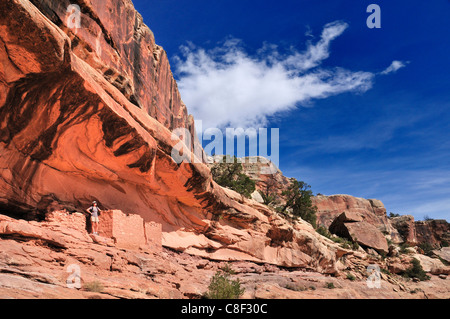 Anasazi, Indisch, Ruinen, Mule Canyon, Cedar Mesa, Colorado Plateau, Utah, USA, USA, Amerika, Stockfoto