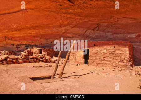 Anasazi, Cliff Dwellings, perfekte Kiva, ruinieren, Bullet Canyon, Grand Gulch primitiven Bereich, Cedar Mesa, Colorado Plateau, Utah, USA Stockfoto