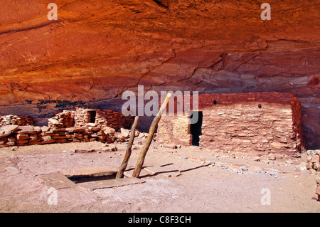 Anasazi, Cliff Dwellings, perfekte Kiva, ruinieren, Bullet Canyon, Grand Gulch primitiven Bereich, Cedar Mesa, Colorado Plateau, Utah, USA Stockfoto