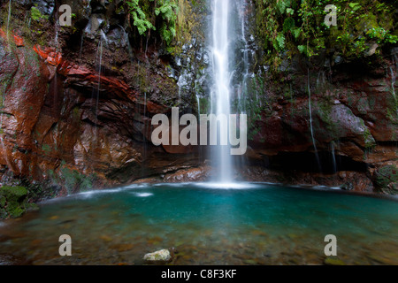 25 Fontes, Portugal, Europa, Madeira, Federn, Quellen, Wasser, Natur, Wasserfall, Fels, Felsen, Klippe Wasserkocher Stockfoto