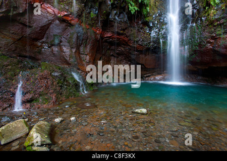 25 Fontes, Portugal, Europa, Madeira, Federn, Quellen, Wasser, Natur, Wasserfall, Fels, Felsen, Klippe Wasserkocher Stockfoto