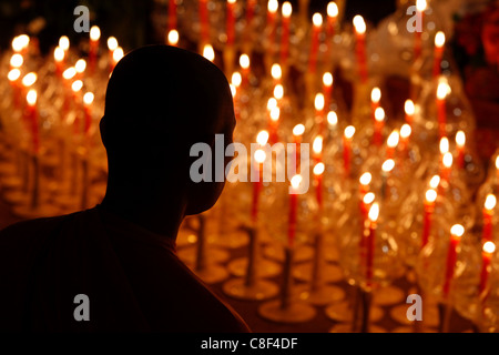 Wesak feiert Buddhas Geburtstag, erwachen und Nirvana, großen buddhistischen Tempel (Grande Pagode de Vincennes, Paris, Frankreich Stockfoto