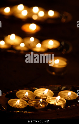 Wesak feiert Buddhas Geburtstag, erwachen und Nirvana, großen buddhistischen Tempel (Grande Pagode de Vincennes, Paris, Frankreich Stockfoto