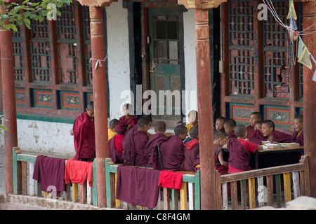 Novizen studieren auf der Veranda des Drukpa Kagyud Primary School, Hemis Gompa, Hemis (Ladakh) Jammu & Kaschmir, Indien Stockfoto