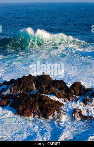 Porto Moniz, Portugal, Europa, Madeira, Küste, Meer, Atlantik, Wasser, Wellen, Schaum, Element, natürliche Kraft, Energie, Felsen, Klippe, l Stockfoto