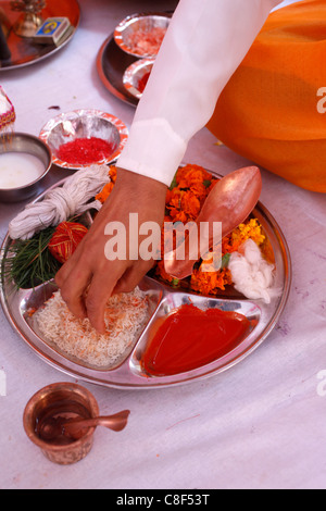 Angebote für Puja in einem hinduistischen Tempel, Haridwar, Indien Stockfoto