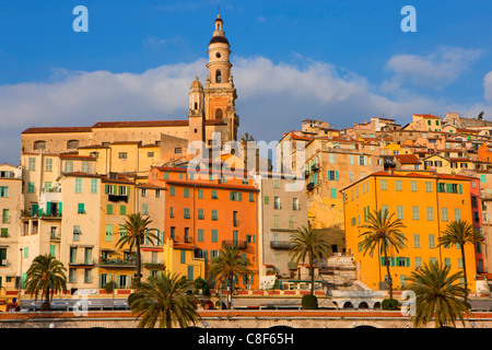 Menton, Frankreich, Europa, Côte d ' Azur, Provence, Alpes-Maritimes, Stadt, Stadt, Altstadt, Häuser, Häuser, Kirche, Palmen, morgen Ligh Stockfoto