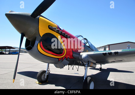 Curtiss P-40N Warhawk im Warhawk Aviation Museum in Nampa Municipal Flughafen Stockfoto