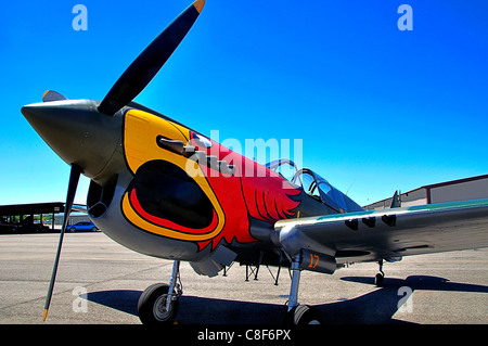 Curtiss P-40N Warhawk im Warhawk Aviation Museum in Nampa Municipal Flughafen Stockfoto