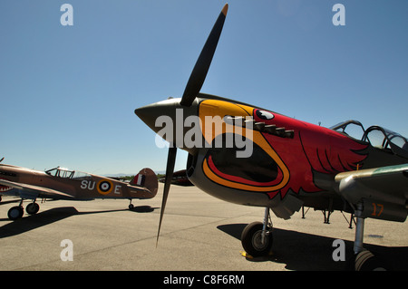 Curtiss P-40N Warhawk im Warhawk Aviation Museum in Nampa Municipal Flughafen Stockfoto