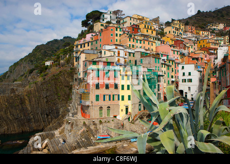Riomaggiore, Italien, Europa, Ligurien, Cinque Terre, Küste, Steilküste, Dorf, Häuser, Wohnungen, agave