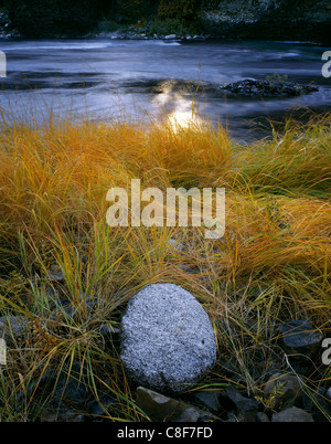 AA01701-04... WASHINGTON - Grass und Felsen an den Ufern des Flusses Spokane im Riverside State Park in Spokane. Stockfoto