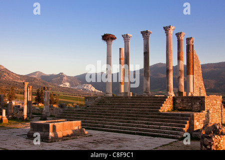 Marokko, Nordafrika, Afrika, römisch, Ruinen, Voulibilis, antike, antike, Capitol, Moulay Idriss, Spalten Stockfoto