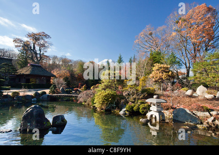 Japan, November, Asien, Berg Fuji, Dorf, Oshino, Masuno-Ya wachen, Garten, Teich, idyllische, Asien Stockfoto