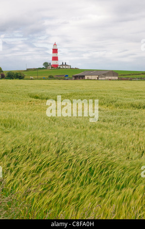 Die rot-weißen Leuchtturm, Happisburgh, Norfolk, Großbritannien Stockfoto